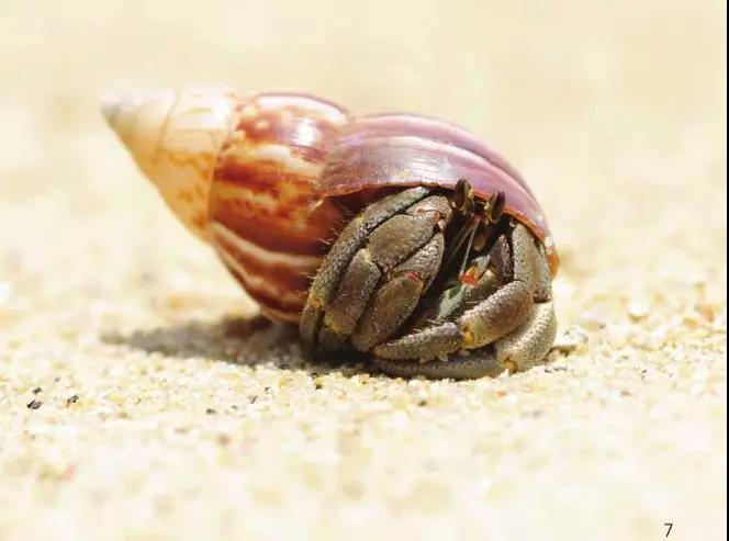 1英文绘本分享活动4