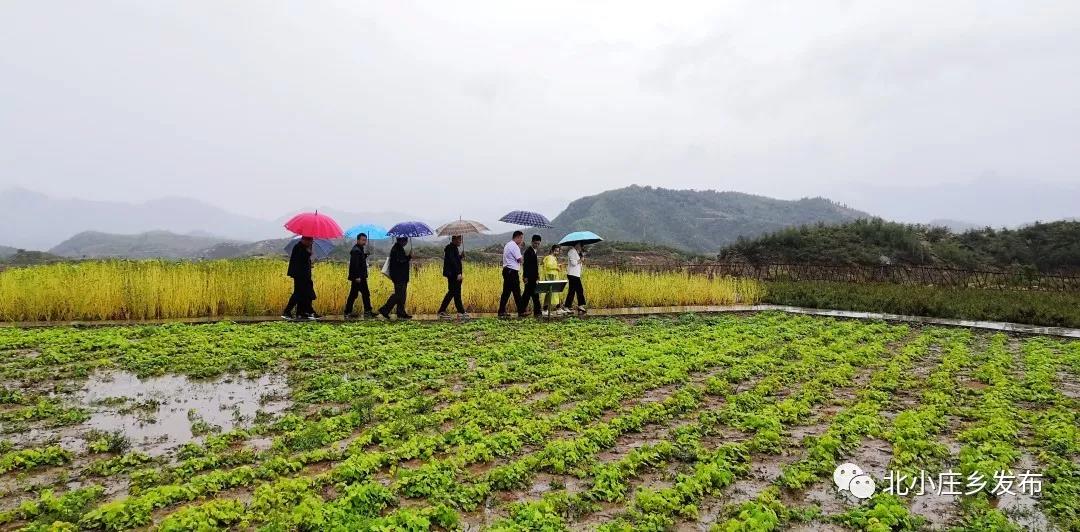 微信图片_20201022123039