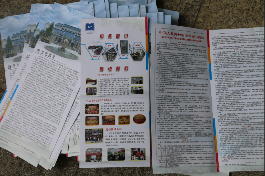 image image.png?v=1762240105471