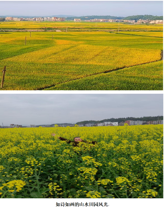 1732342117938 1732342117938.png