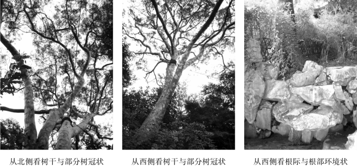 pagenumber_ebook=145,pagenumber_book=145