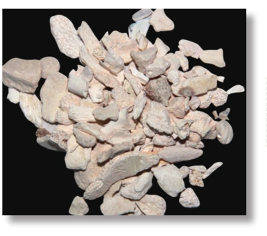 pagenumber_ebook=228,pagenumber_book=215