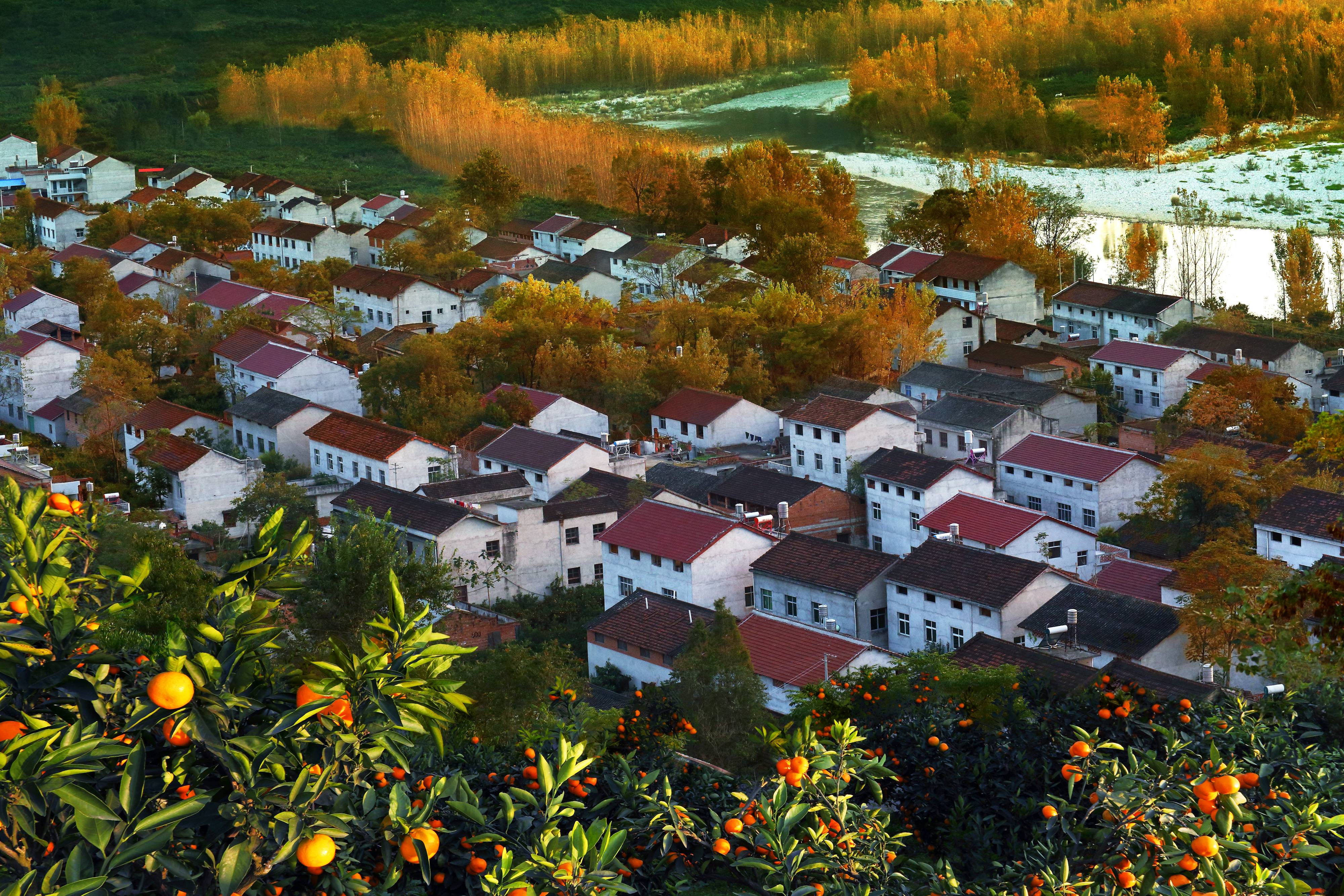 城固《一年好景在此时》 邹玉琪摄(1).jpg?v=1746357272795