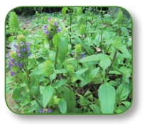 pagenumber_ebook=43,pagenumber_book=30