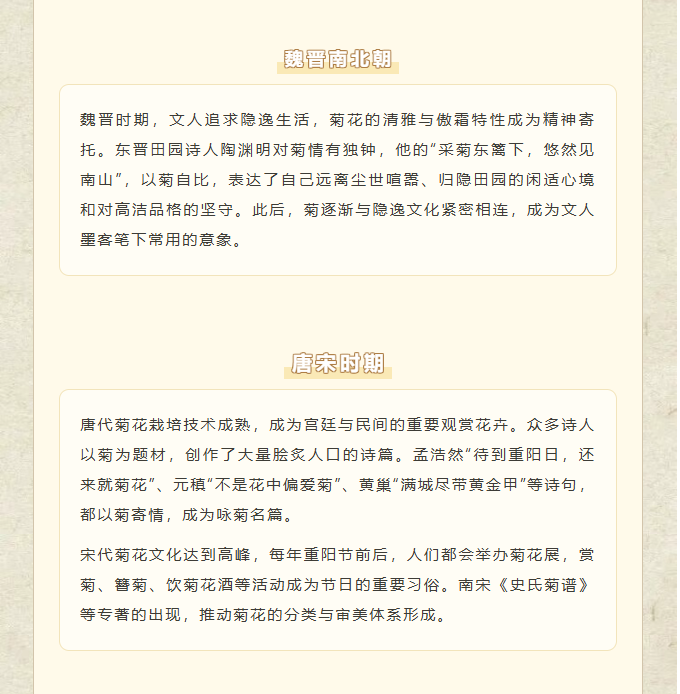 image.png?v=1762100057603