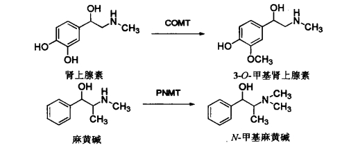 pagenumber_ebook=574,pagenumber_book=556