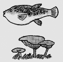 pagenumber_ebook=157,pagenumber_book=144