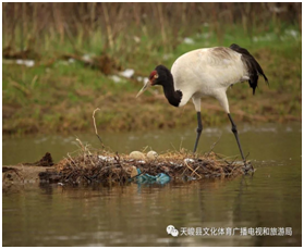 image image.png?v=1765701132132