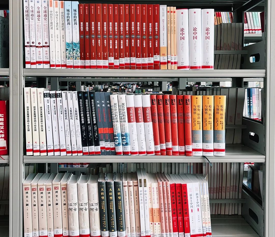 3 3.jpg?v=1762675985661