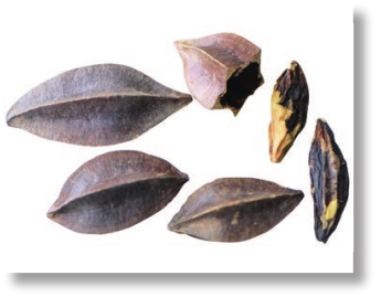 pagenumber_ebook=154,pagenumber_book=141