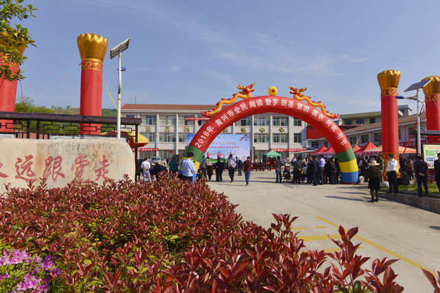 2018422102215983 2018422102215983.jpg?v=1766034033480