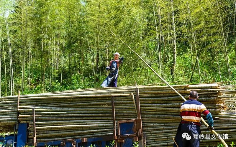 17 17.jpg?v=1765891042459