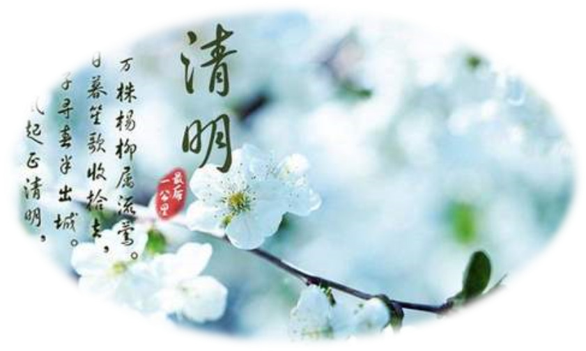 image005 image005.png?v=1764640555543