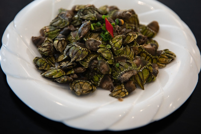 DM_20230203115637_037