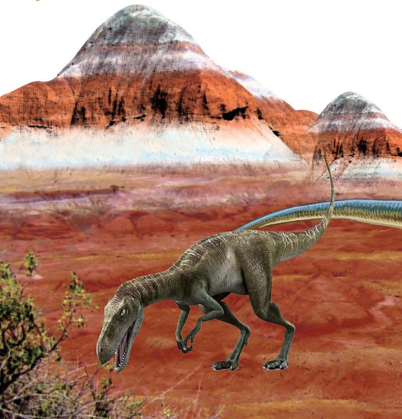 pagenumber_ebook=61,pagenumber_book=50