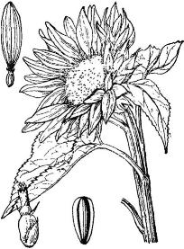 pagenumber_ebook=199,pagenumber_book=199