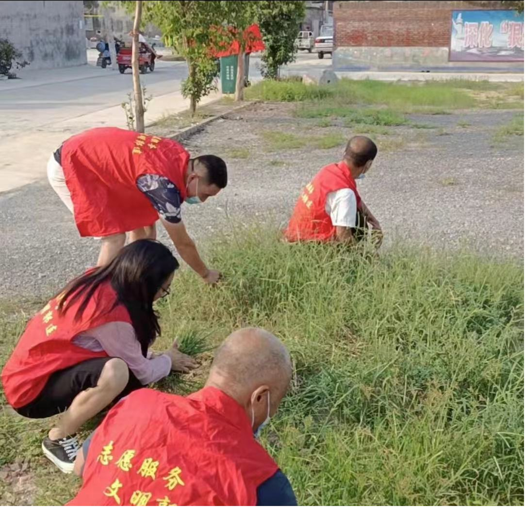 五一劳动节清扫家园活动