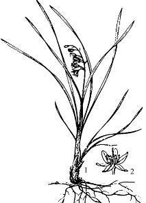 pagenumber_ebook=255,pagenumber_book=255