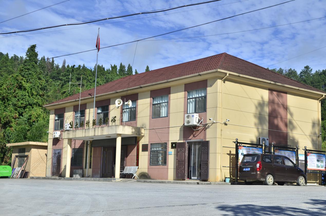 image11 image11.jpeg