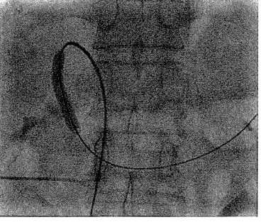 pagenumber_ebook=269,pagenumber_book=261