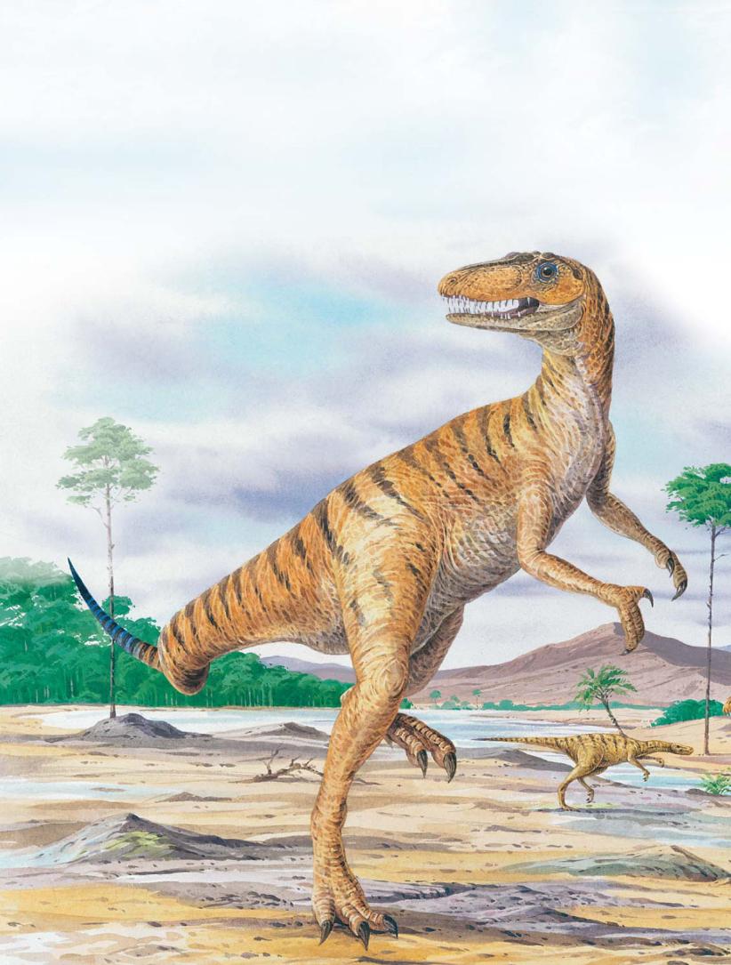 pagenumber_ebook=51,pagenumber_book=40