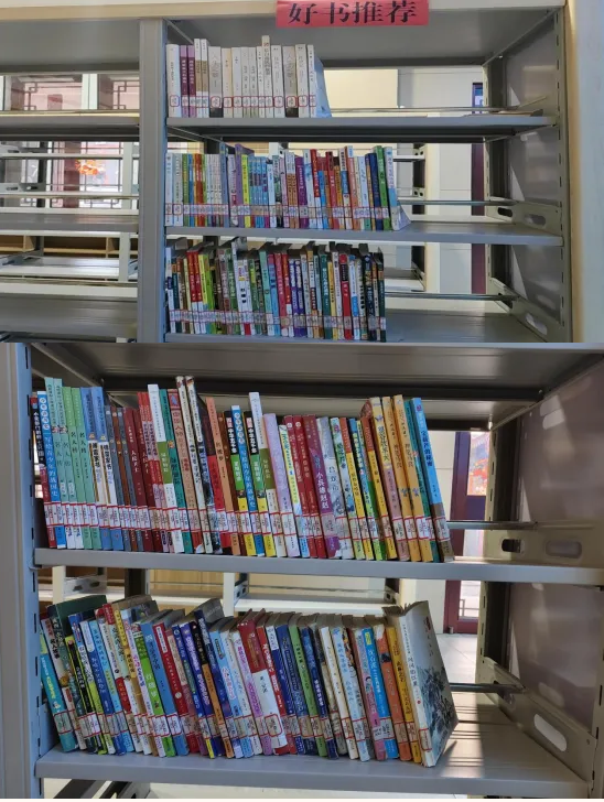 image image.png?v=1763548593248