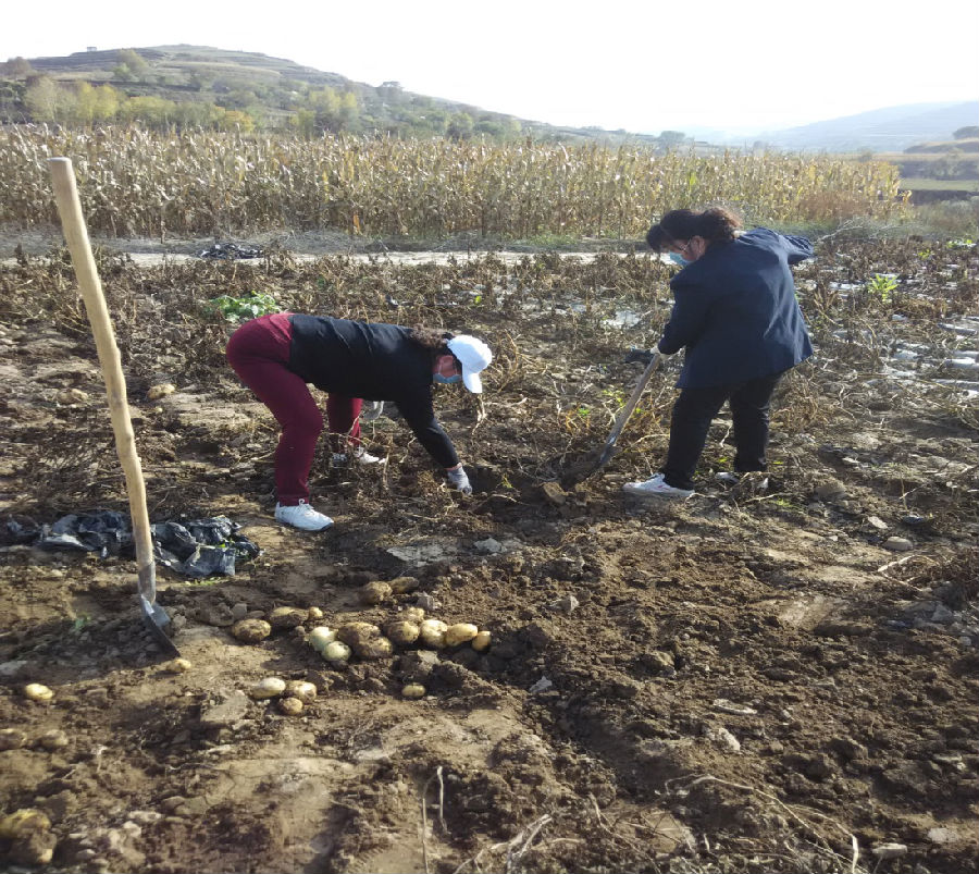 图片1.png?v=1762152952431