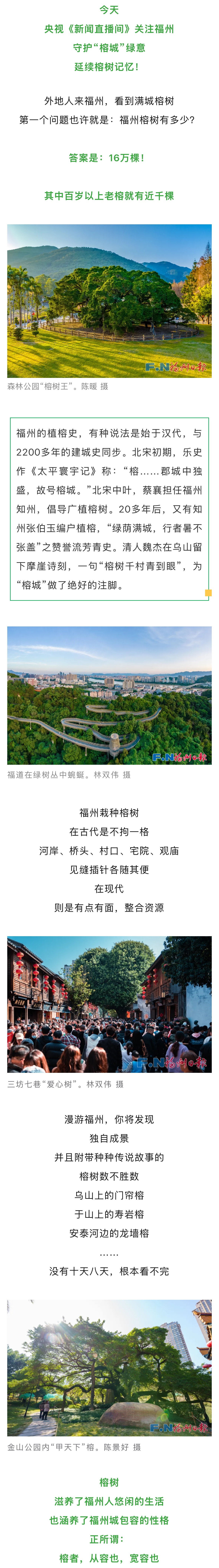 20250728【资讯】今天！福州榕树火上央视！2.jpg