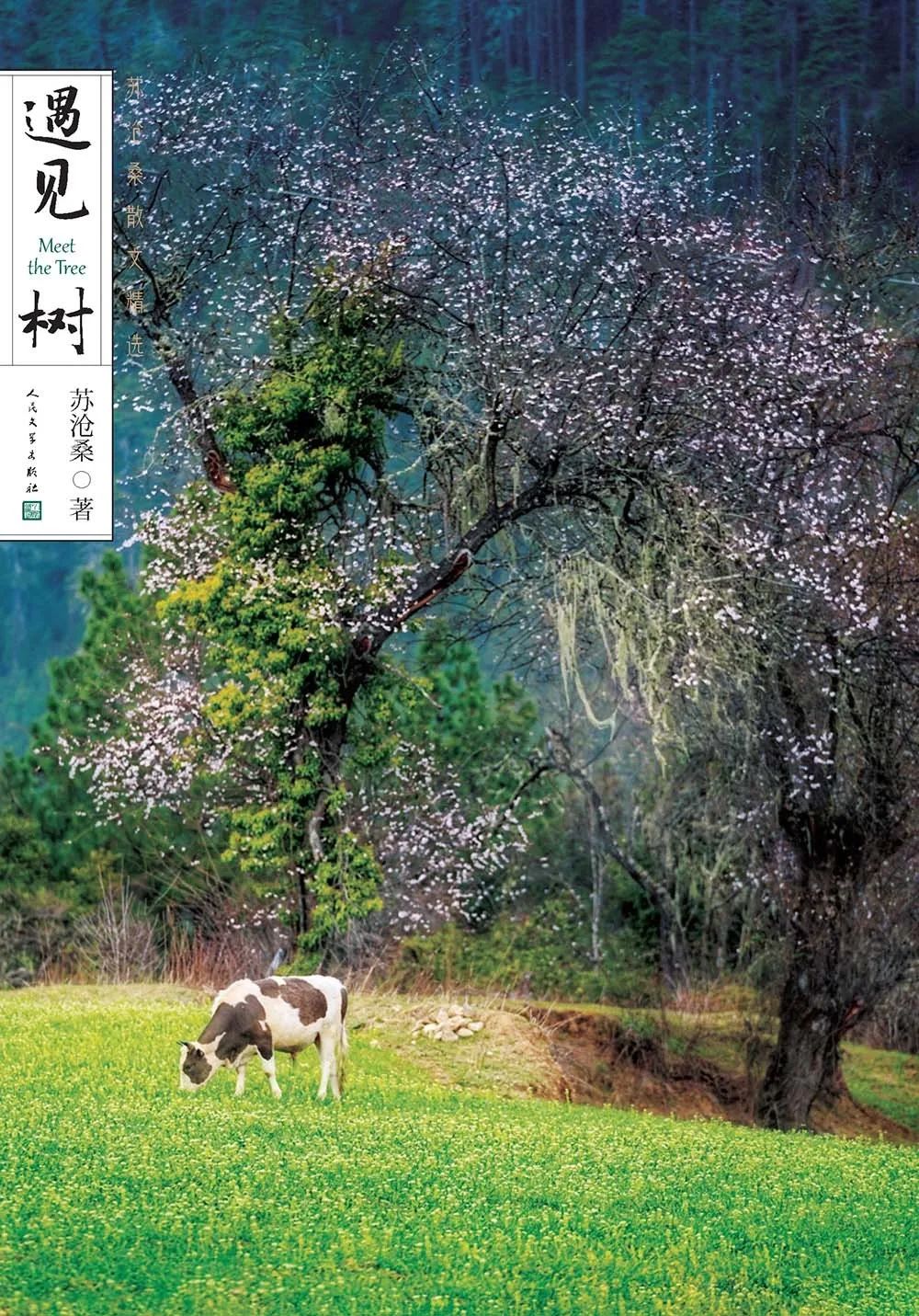 640 640.jpg?v=1763574185541