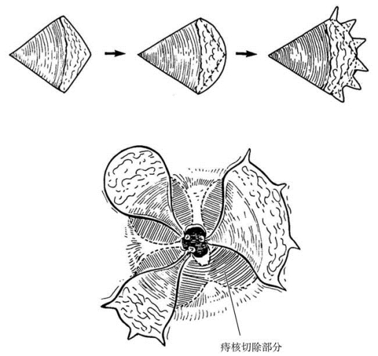pagenumber_ebook=604,pagenumber_book=589