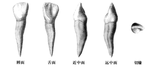 pagenumber_ebook=41,pagenumber_book=32