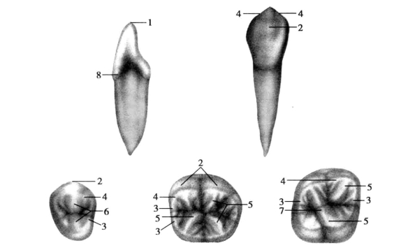 pagenumber_ebook=22,pagenumber_book=13