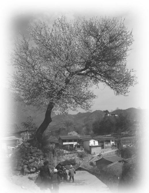 pagenumber_ebook=131,pagenumber_book=118