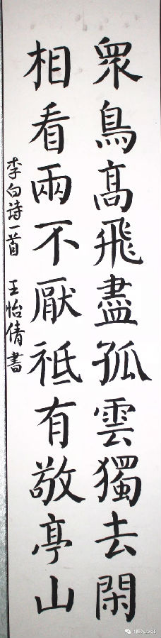 640.webp (20).jpg?v=1764880113128