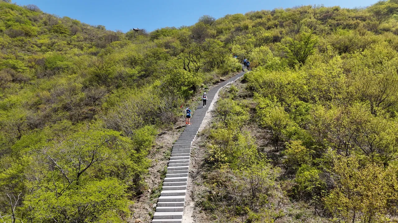 5c9ad39aad9ef68b03bb8eae66db237 5c9ad39aad9ef68b03bb8eae66db237.png