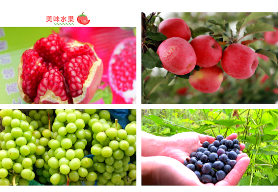 1519723_650ceef4ba8fb 1519723_650ceef4ba8fb.png