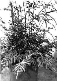 pagenumber_ebook=287,pagenumber_book=287