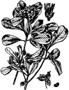 pagenumber_ebook=177,pagenumber_book=177