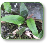 pagenumber_ebook=122,pagenumber_book=109