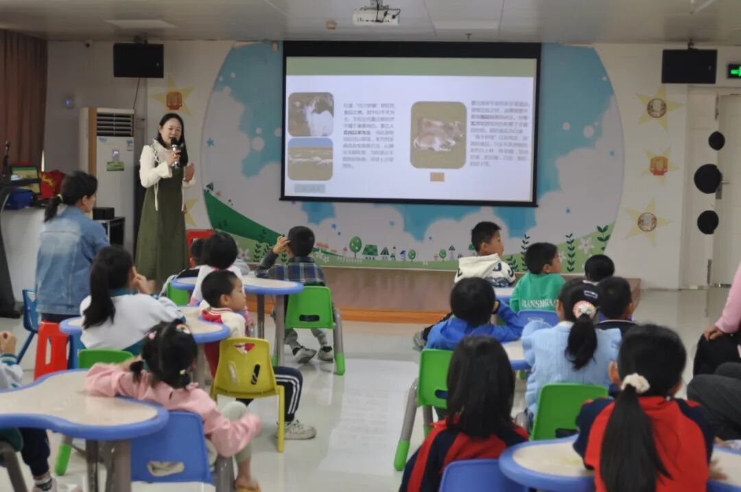 图片6 图片6.png?v=1764946041400