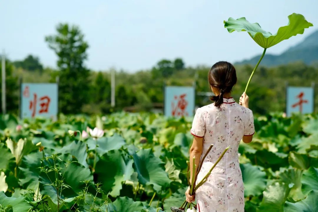 e6adb7289bd679307ff1920797053dc1 e6adb7289bd679307ff1920797053dc1.jpg