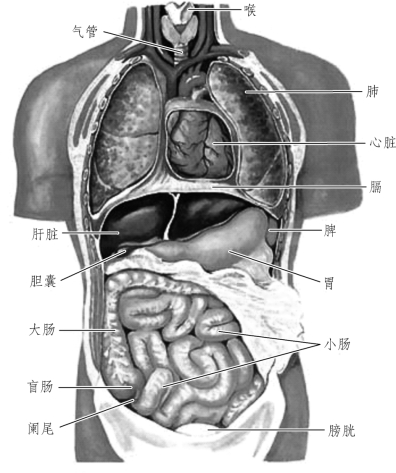 pagenumber_ebook=13,pagenumber_book=6
