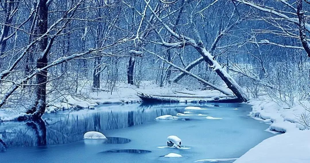 微信图片_20211116121611