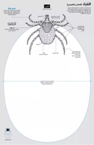 pagenumber_ebook=110,pagenumber_book=101
