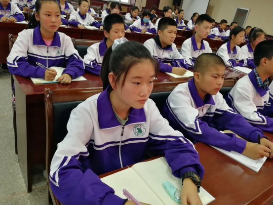 image image.png?v=1762323695689