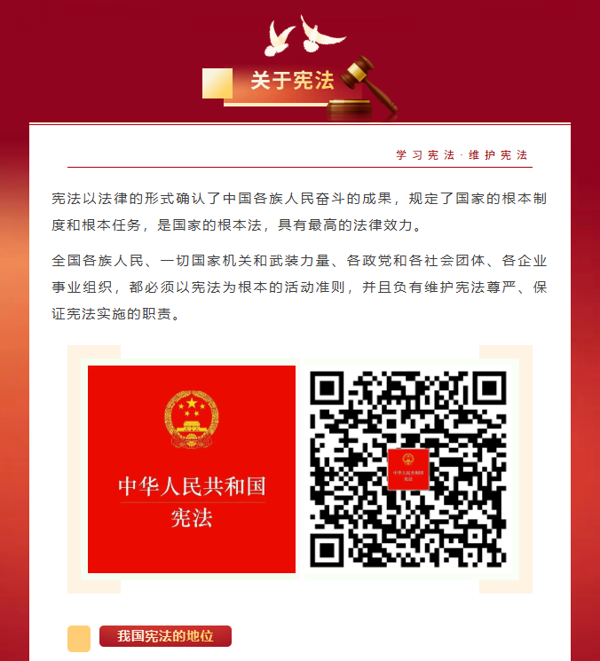 image.png?v=1766278436116