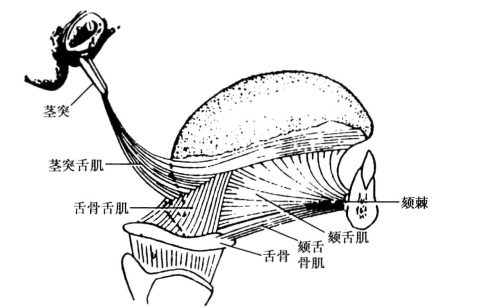 pagenumber_ebook=113,pagenumber_book=104