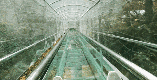 微信图片_20210923155711 微信图片_20210923155711.gif