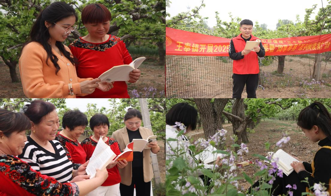 【莘县】王奉镇开展2025齐鲁阅读季暨“阅享莘县”之“梨香漫卷读书时”系列阅读活动