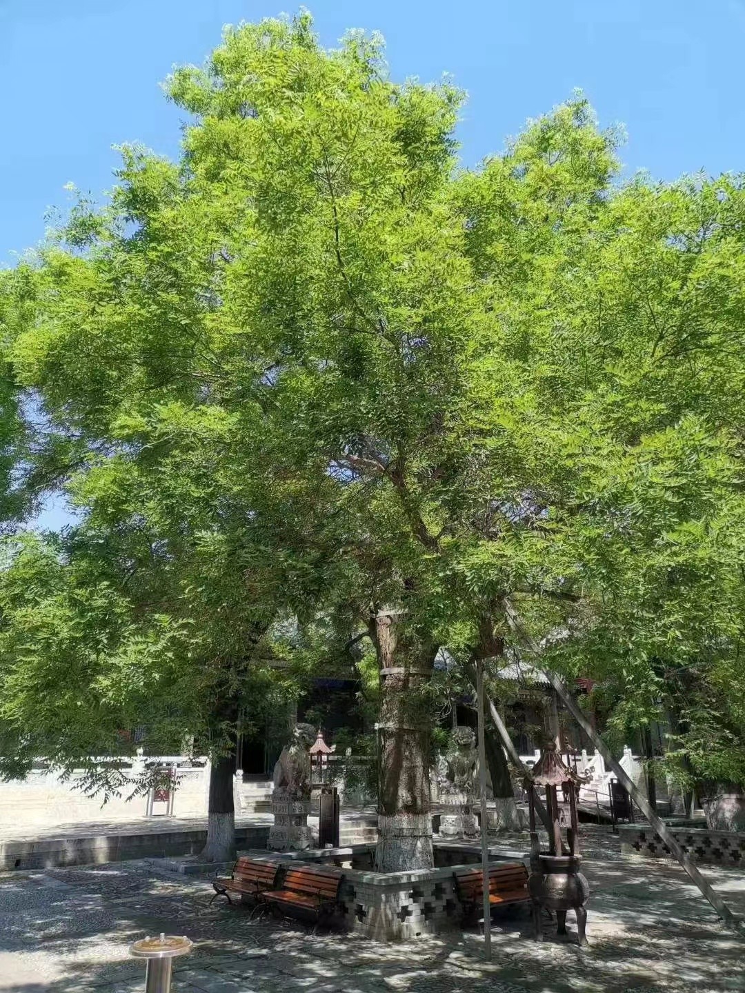 微信图片_20230316114902